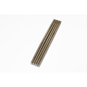 3x10mm_Scheibenmagnete