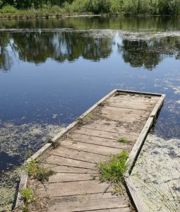 optimale Gewässser zum Magnetangeln